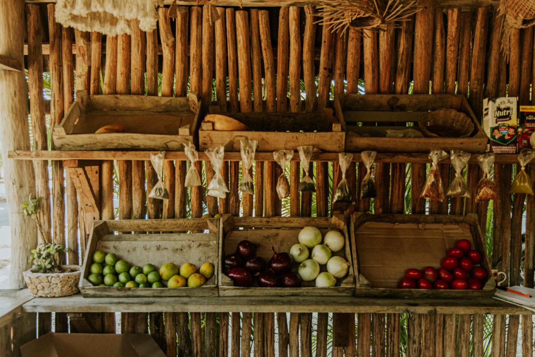 Fresh produce displayed at a market stand